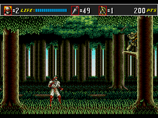 Shinobi III: Return of the Ninja Master